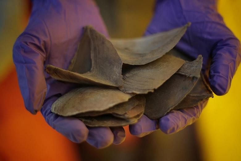 Vietnam menyita dua ton sisik gading dan trenggiling yang dikirim dari Nigeria