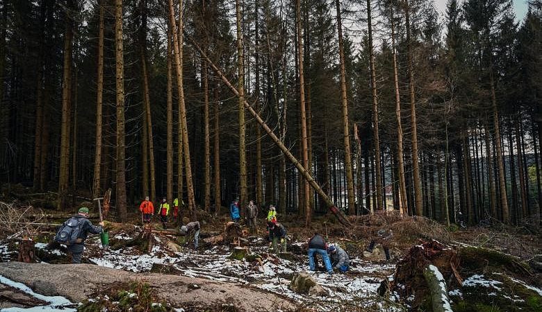 Perubahan iklim menyerang jantung identitas Jerman: Hutan