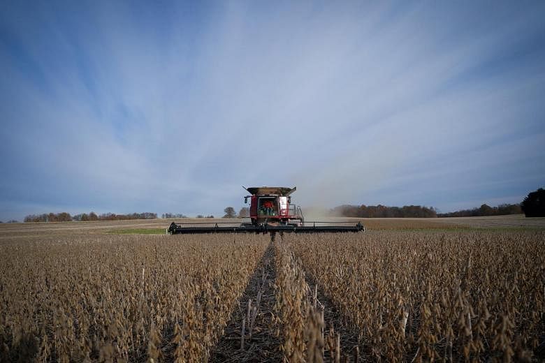 China mengatakan membeli produk pertanian AS tidak akan mempengaruhi impor dari negara lain