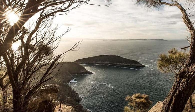 Gerbang Antartika Australia, Tasmania, menjadi lebih panas daripada utara tropis